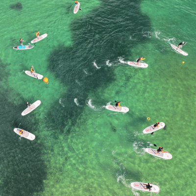 a group of people surfing in the sea